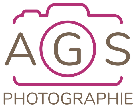 logo ags formation